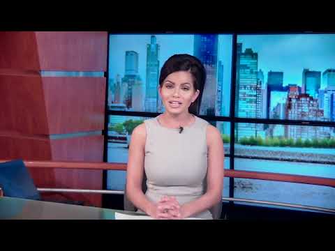 Harris Synthetic Fraud