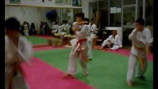 preview picture of video 'Meldola Karate 3° Kata allievi scuola M° Monti Franco  ( I.SH.K.K.A. )'