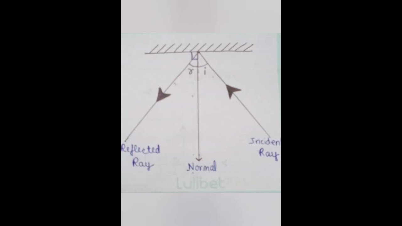 Notes of SCIENCE || class 8th || Chapter - LIGHT ||