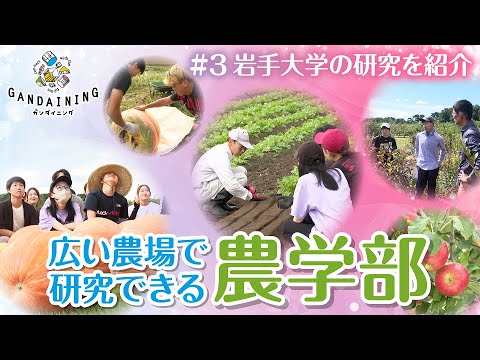 ガンダイニング2024：農学部研究紹介（渡邉学先生：果樹園芸学）