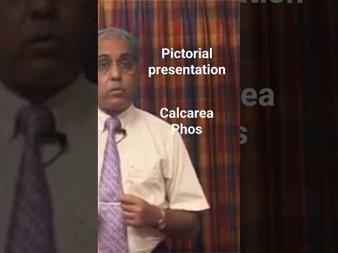 CALCAREA PHOSPHORICUM presentation by @Dr.Saptarshi banerjee