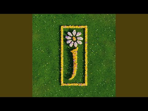 Sit Down (7" Rough Trade Version)