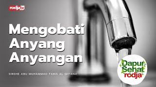 Download lagu Dapur Sehat Rodja : Mengobati Anyang Anyangan l Sinshe Abu Muhammad Faris Al Qiyanji mp3