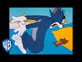 Tom Jerry To Nap Or Not To Nap Classic Cartoon WB Kids
