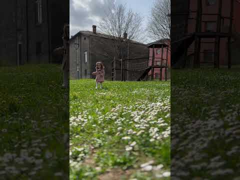 My sunshine ☀️ #nature #spring #flowers