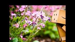 Quando Sorridi - Neffa