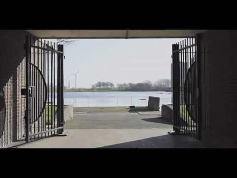 PAUL NEWSOME - REALITY BITES