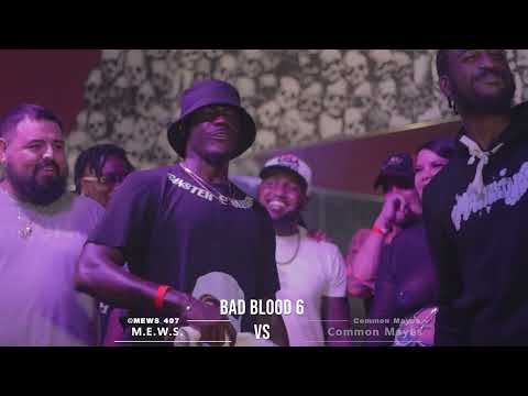 Common Mayes vs M.E.W.S.