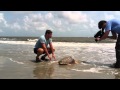 Murphy S Release With Jeff Corwin