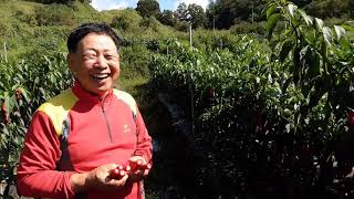 이장집 (362) 에너지 농법 활용(민통선 연구소2)