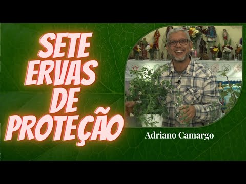 Sete Ervas de Proteção com Adriano Camargo [Rituais com Ervas]