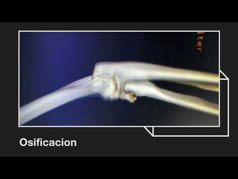 David Arciniegas-12