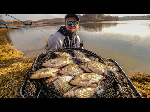 How to feeder fish in spring?