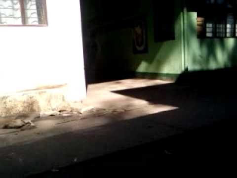 "Rexy Boy" BLOOPERS (2)