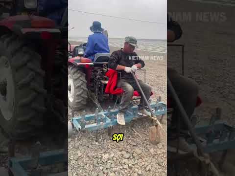 Bác nông dân ngồi sau máy cày đào lỗ siêu nhanh với cách này