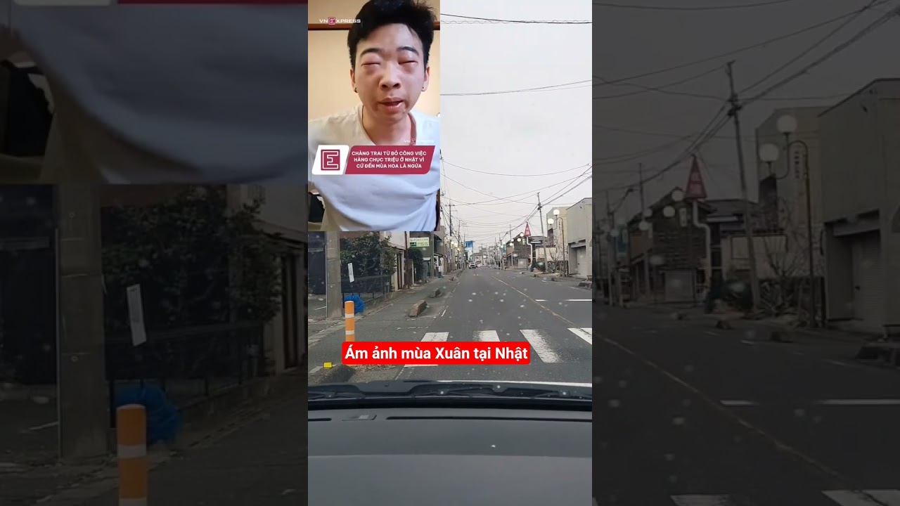 Nỗi ám ảnh tại Nhật mang tên dị ứng phấn hoa