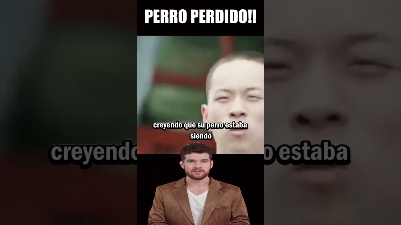 ✅PERRO PERDIDO #resumen #peliculas #shorts #netflix #movie #resumenes #resumenrapido