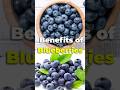 5 Amazing Health Benefits Of Blueberries Shorts