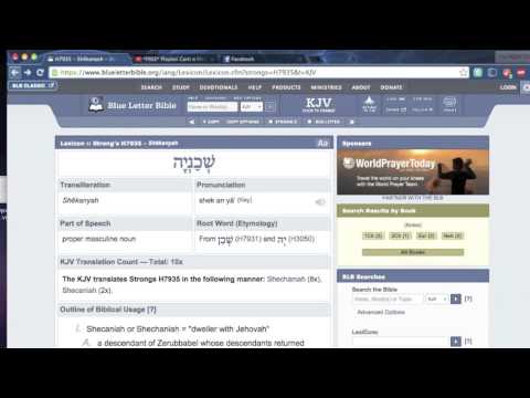 LOOKING AT THE NAME  AND WORD SHECHANIAH SHAKANYAH SHAKAN