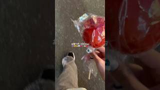 シャドバです😭伸ばして😭 #ルーティン #vlog #雰囲気ゲー #日常vlog #メイク #シャドバ #コスメ #バズりたい #伸びて