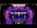 DJ Gani Gani Slowed Reverb