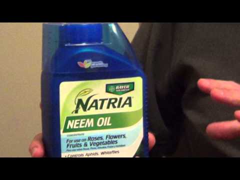 Neem Oil for Plants - Safe Insecticide for Gardens