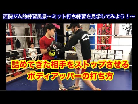 詰めてきた相手をストップさせるボディアッパーの打ち方（西院ジム的練習風景ミット打ち）