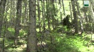 Kanjonom Samokovke _ part 2.avi