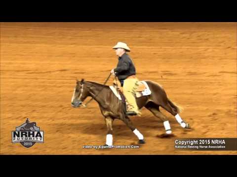Fancy Steppin Whiz ridden by David McBurney  - 2015 NRHA Futurity (NP Futurity Finals - Sec. 1)