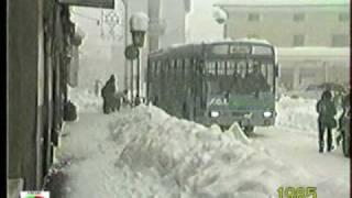preview picture of video 'Chiari (BS) La neve del 1985'