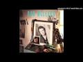 Don Mclean - He's Got You