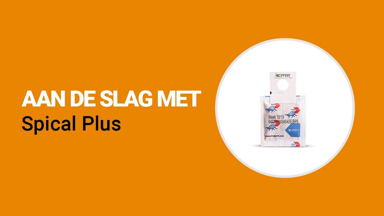 Video preview poster