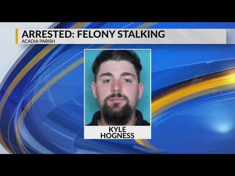 Felony stalking arrest