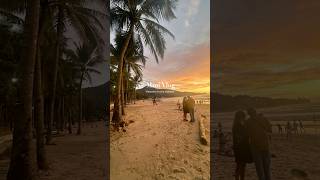 Download lagu 【プーケット Vlog】 #プーケット #phuket #vlog mp3