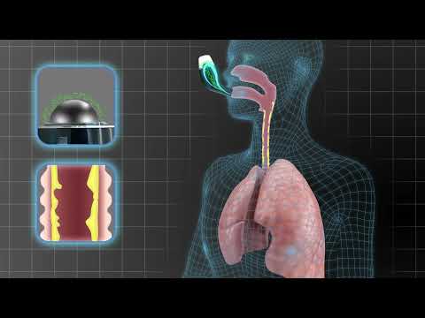 How AirPhysio Works In The Lungs