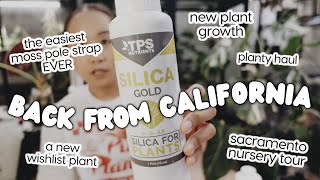 back from california! nursery highlights, small haul, new plant growth & a new wishlist plant 🤩