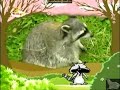 Bim And Bam In The Animal World Racoon