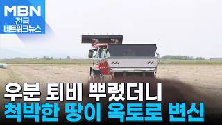 '우분 퇴비' 7년간 뿌렸더니…새만금 간척지 옥토로 변신 [전국네트워크]