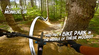 Oregon Freeride for the WIN.