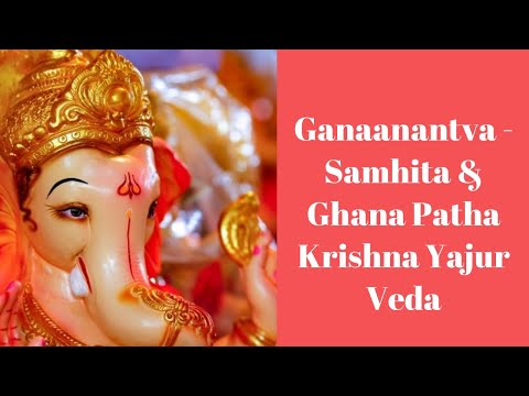 Ganaanaam Tva  | Krishna Yajur Veda | Ghana Patha | Sri K. Suresh