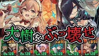 【ミラクルあり】ヴァレリア&ロシェの力を借りて大樹の全部位破壊を試してみる【パズドラ】