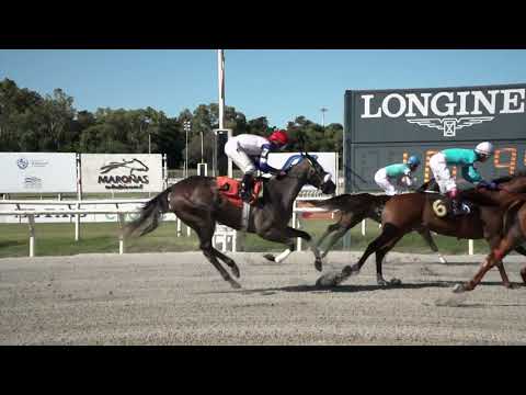 230219 c04 BRUJA PERFUMISTA