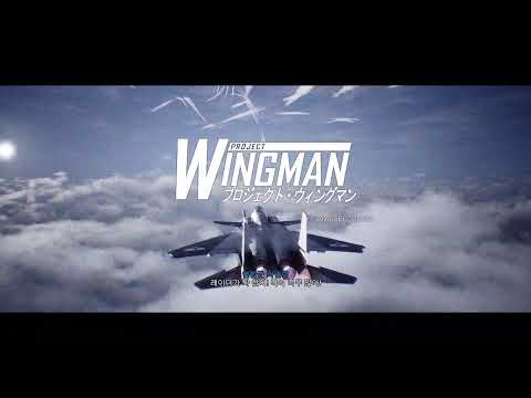 Project Wingman - M11 Cold War (Ace Combat OST)