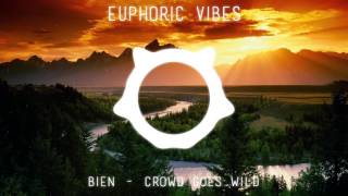 Bien - Crowd Goes Wild