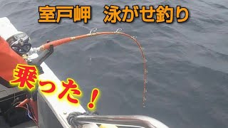 2021/07/15 ヒレナガカンパチ 室戸岬泳がせ釣り