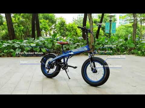 ECO-FLYING electric bike TOP-015
