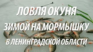 Красногвардейское озеро ленинградская область рыбалка