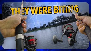 I Risked It All on This Fishing Trip!!