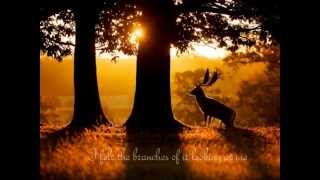 Somewhere Only We Know- David Archuleta (With Lyrics)