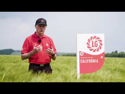 LG on Tour Getreide: Wi-Gerste CALIFORNIA - Vorstellung Frank Botthof